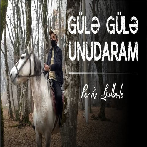 Pərviz BülBülə - Gülə Gülə Unudaram