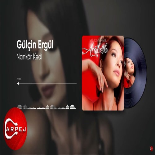 Gülçin Ergül - Nankör Kedi