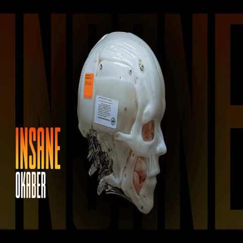 OKABER - INSANE