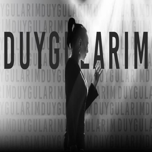 Ebru Gündeş - Duygularım