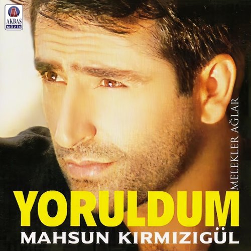 Mahsun Kırmızıgül - Sevdim