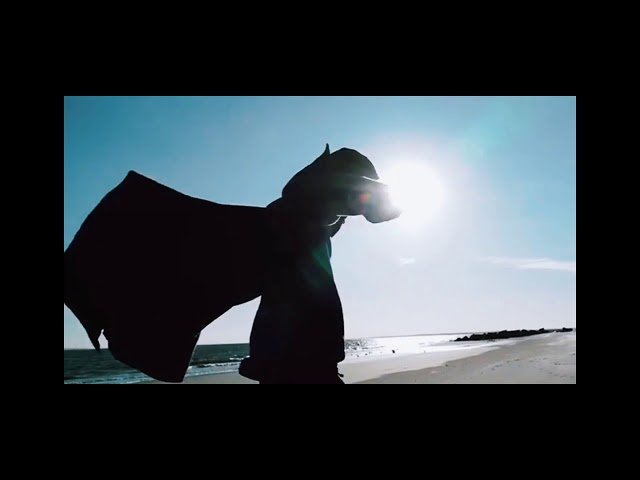 Xatirə İslam - Özü Bilir