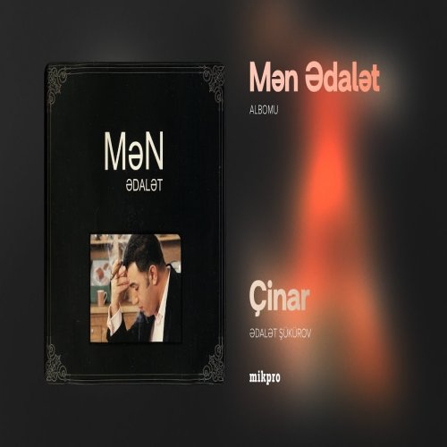 Ədalət Şükürov - Çinar