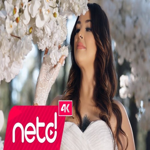 Ahlem Alp - Hayde Ahlem Alp - Hayde