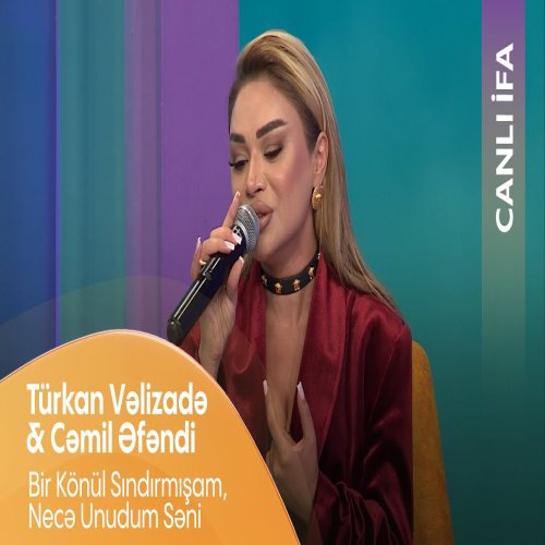Türkan Vəlizadə - Bir Könül Sındırmışam