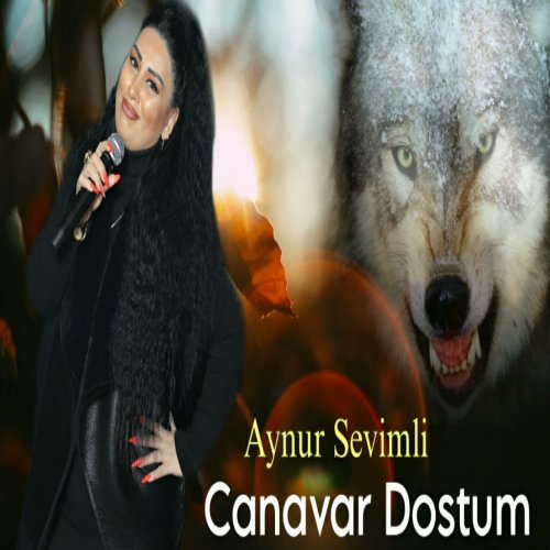 Aynur Sevimli - Canavar Dostum