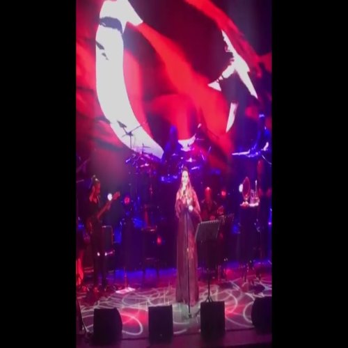 Deniz Seki - Yiğidim Aslanım