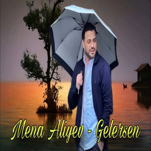 Mena Aliyev - Gelersen 