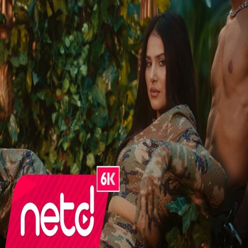 Süreyya Ayvazova - Fondip