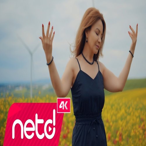 Aycan Sağlam - Ağlattı Gitti Aycan Sağlam - Ağlattı Gitti