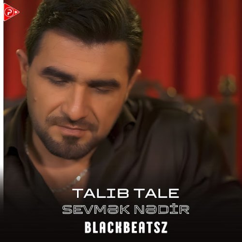 Talib Tale - Sevmək Nədir (Remix)