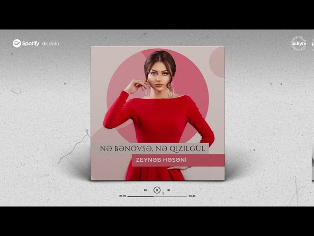Zeynəb Həsəni - Nə Bənövşə, Nə Qızılgül