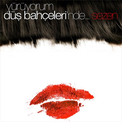 Sezen Aksu - Tutunamadım