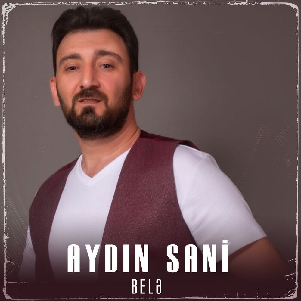 Aydin Sani