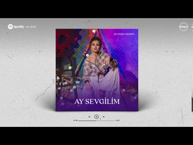 Zeynəb Həsəni - Ay Sevgilim