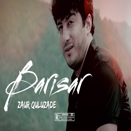 Zaur Quluzade - Barisar