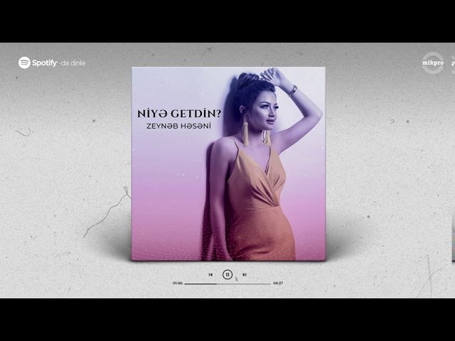 Zeynəb Həsəni - Niyə Getdin