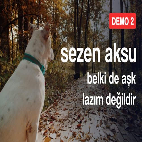 Sezen Aksu - Belki De Aşk Lazım Değildir
