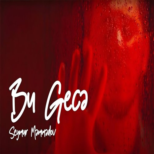 Seymur Memmedov - Bu Gecə