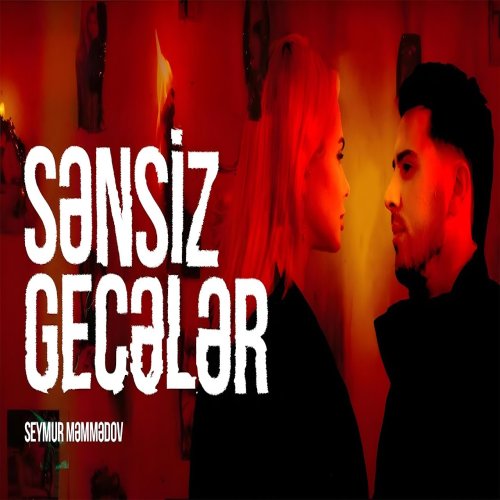 Seymur Memmedov - Sənsiz Gecələr