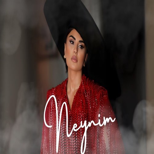 Şebnem Tovuzlu -  Neynim