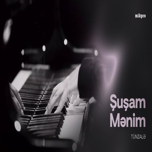 Tünzalə - Şuşam Mənim
