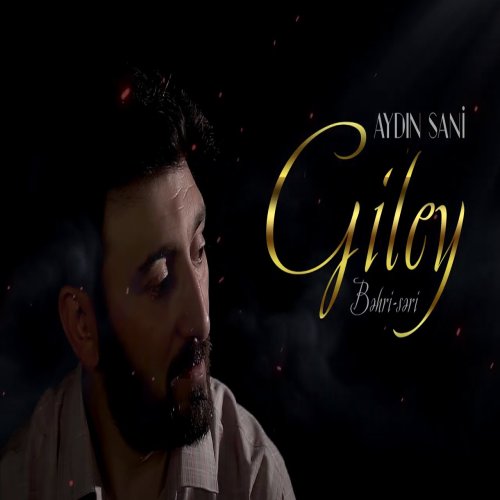 Aydin Sani - Giley