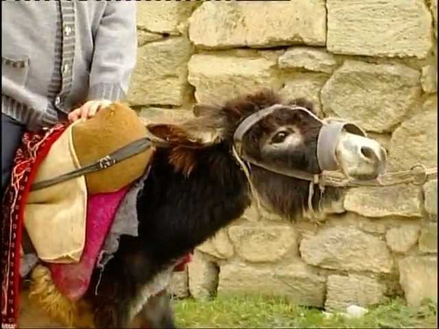Abbas Bağırov - Esqin mehebbeti