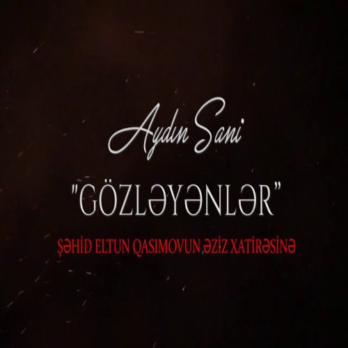 Aydin Sani - Gözləyənlər