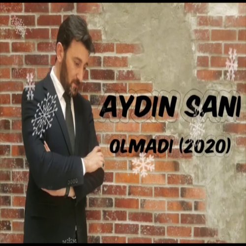 Aydin Sani - Olmadı