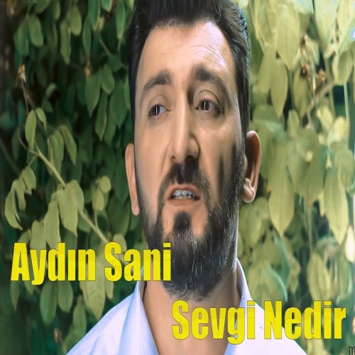 Aydin Sani - Sevgi Nedir