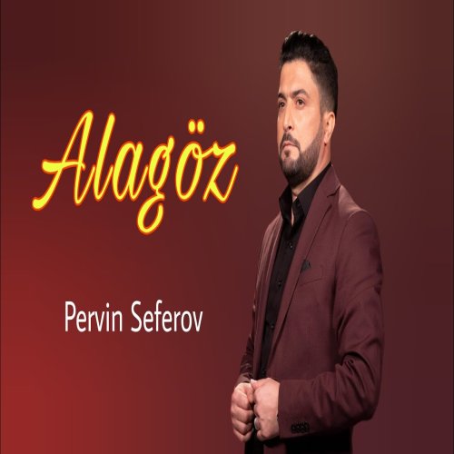 Pervin Seferov - Alagöz