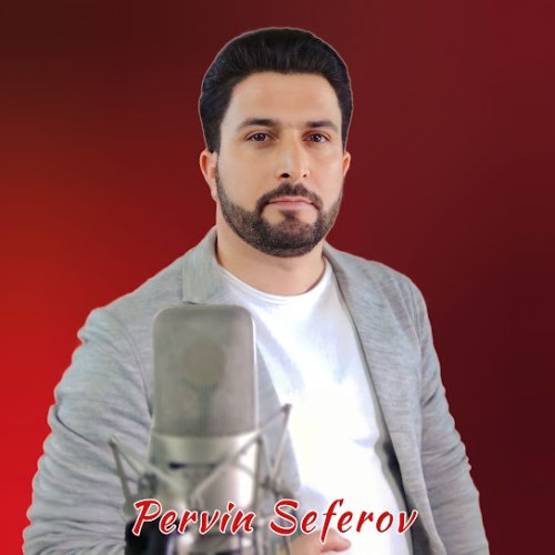Pervin Seferov - Ay işığında