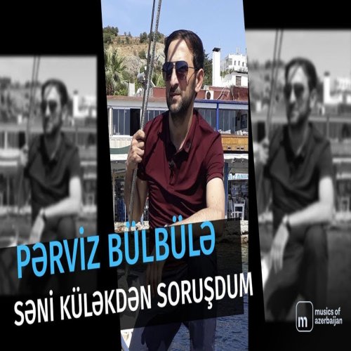 Pərviz BülBülə - Səni Küləkdən Soruşdum