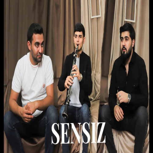 Elçin Şirinov - Sensiz