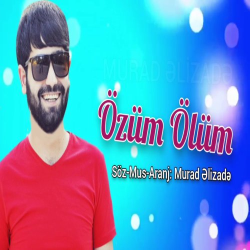 Ilkin Cerkezoglu - Ozum Olum