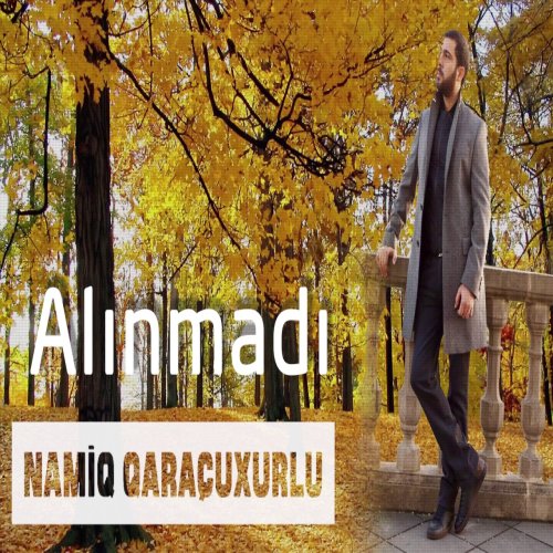 Namiq Qaraçuxurlu - Alınmadı Namiq Qaraçuxurlu - Alınmadı