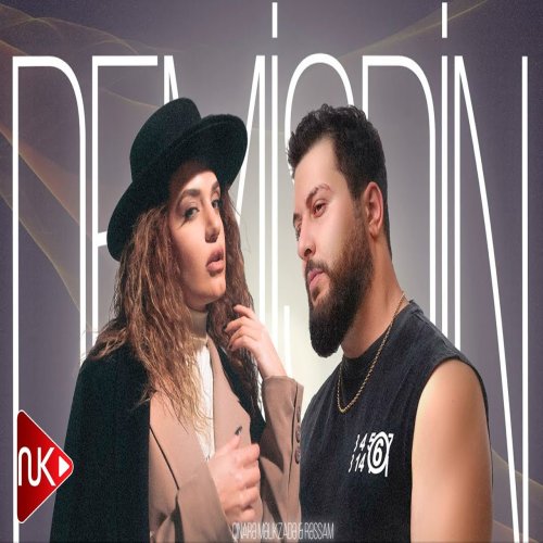 Çınare Melikzade,Rəssam - Demişdin