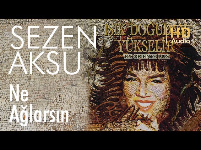 Sezen Aksu - Ne Ağlarsın