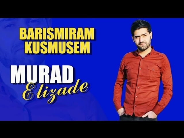 Ilkin Cerkezoglu - Barismiram Kusmusem